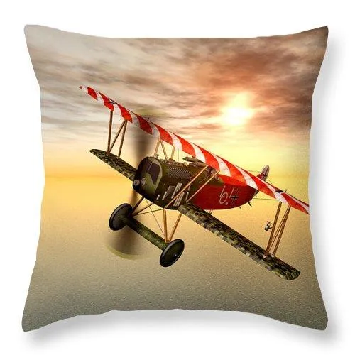 Biplane In The Sunset - Throw Pillow